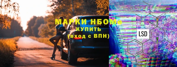 шишки Кукмор