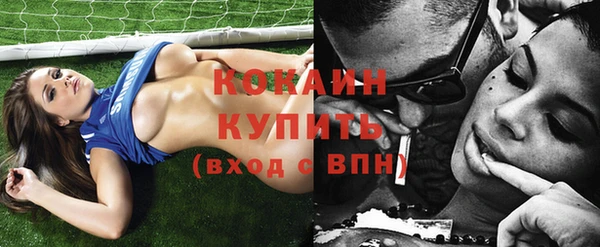 шишки Кукмор