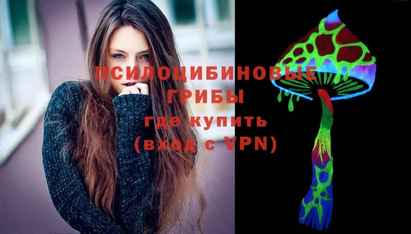 шишки Кукмор
