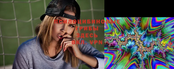 тгк Кулебаки