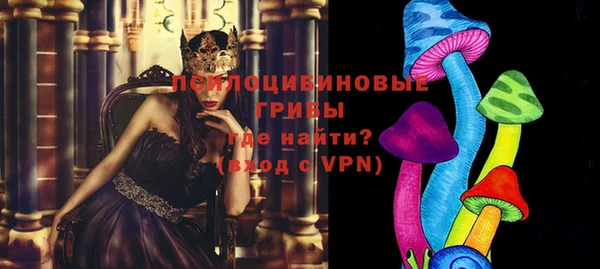 шишки Кукмор