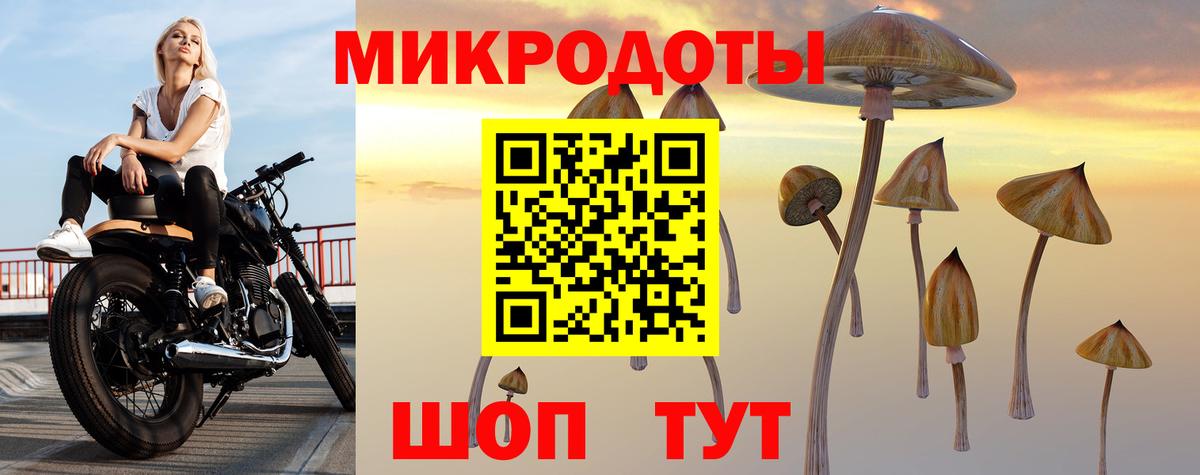 Галлюциногенные грибы мухоморы  Вход с VPN  Черняховск 