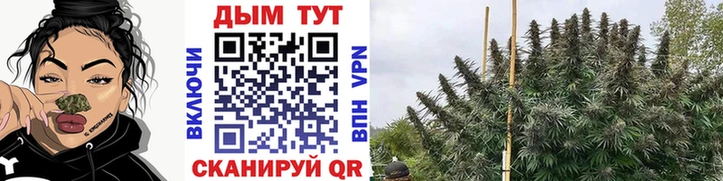 что такое наркотик Черняховск Марихуана конопля